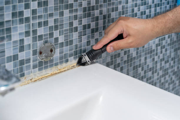 Best Local Mold Removal Service  in Maywood, IL